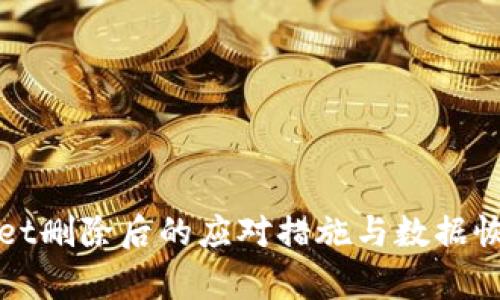 tpWallet删除后的应对措施与数据恢复指南